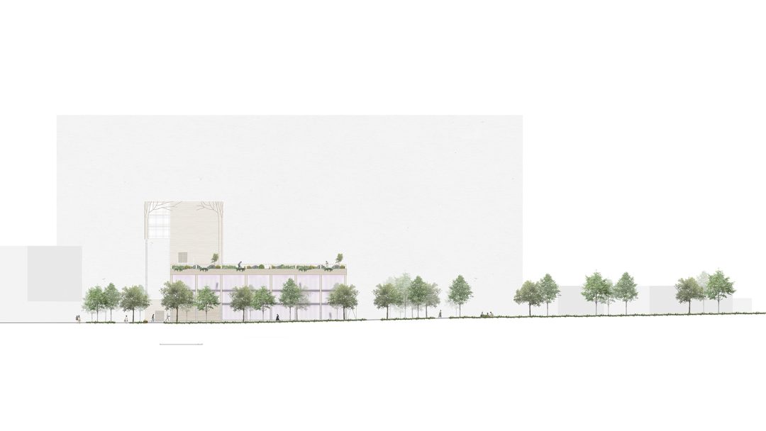 ARCH 352 - "From The Leaves of Your Garden" - east elevation 1:500